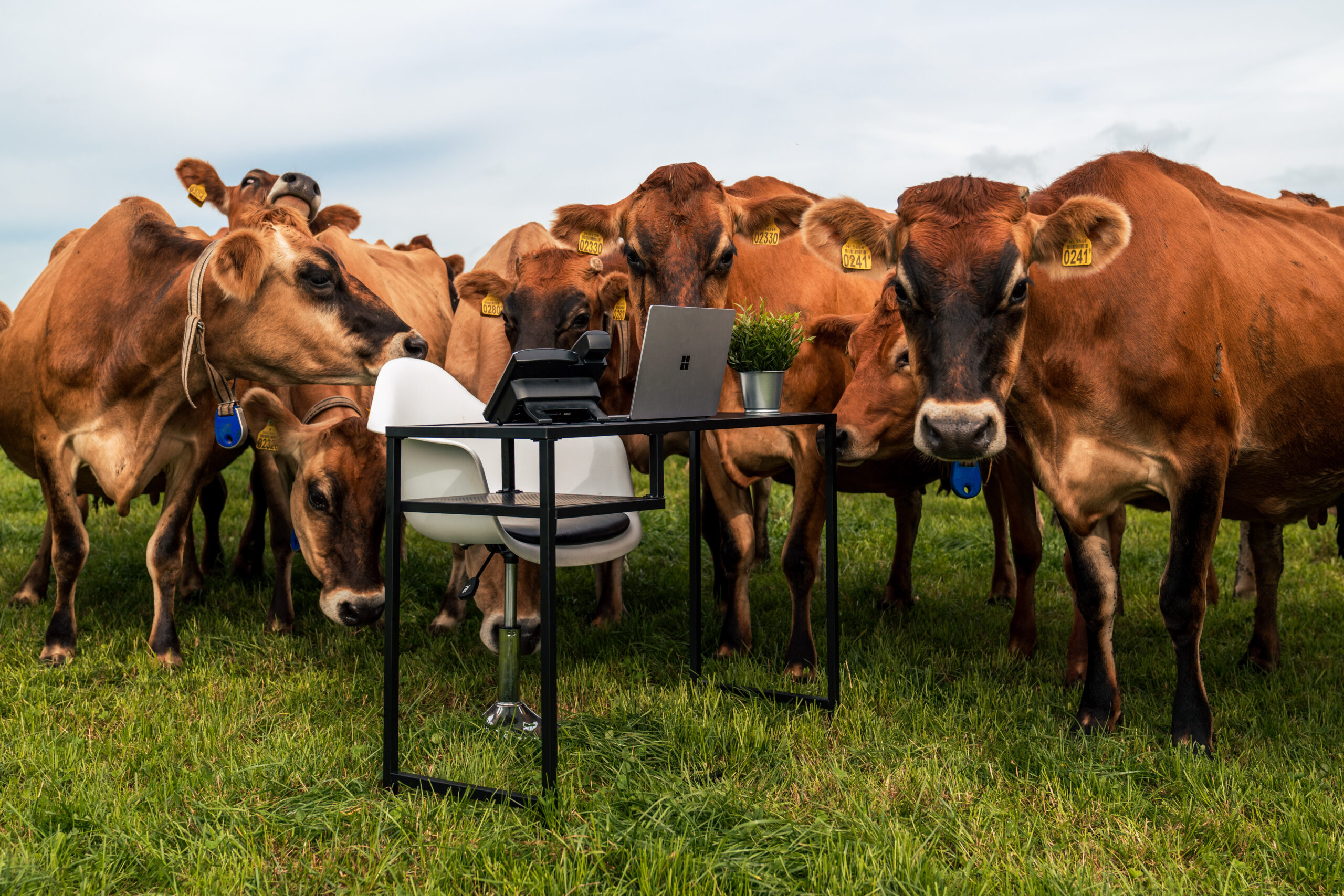 ICT oplossingen Friesland