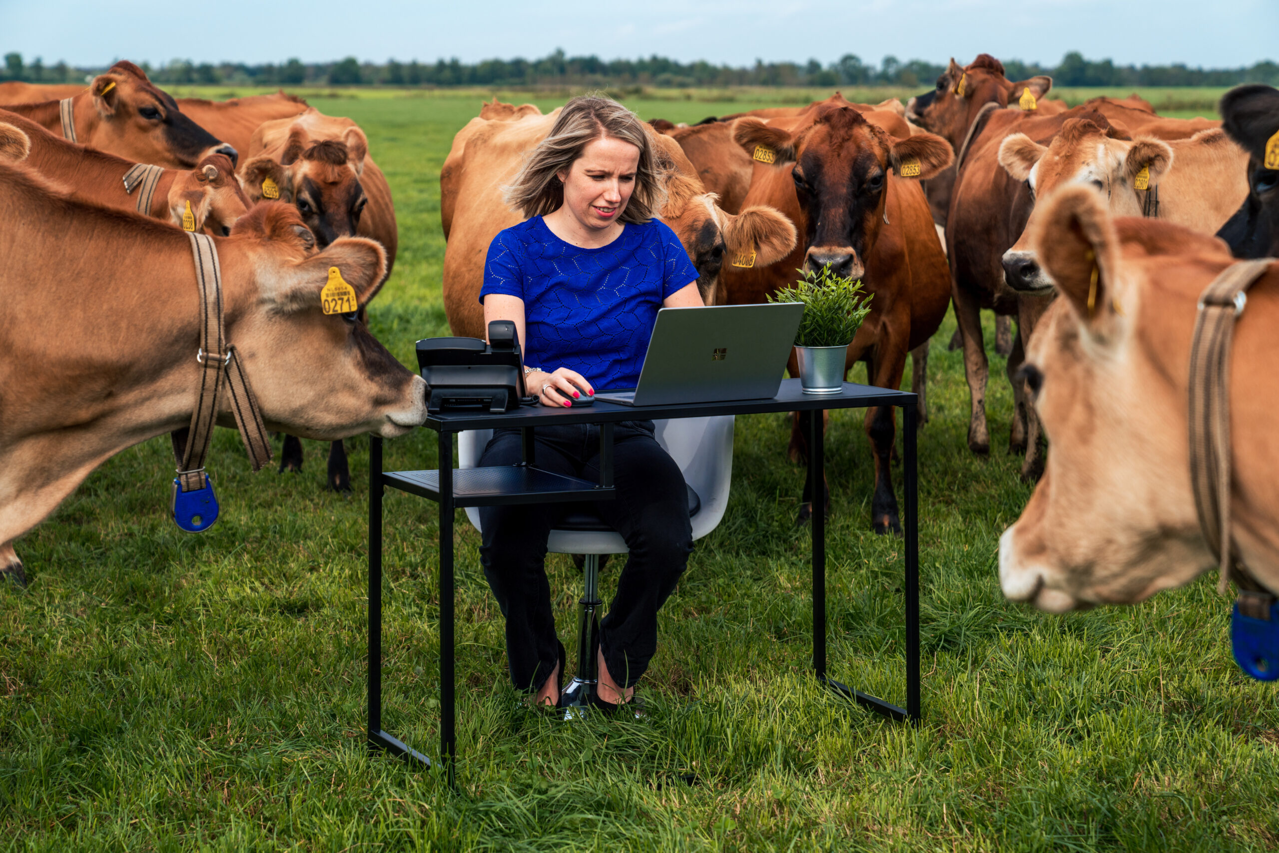 Microsoft Office 365 Friesland